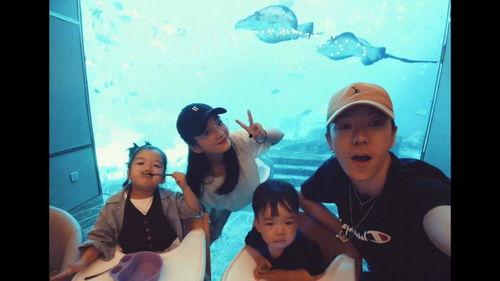 娱乐圈爆料王栎鑫是谁,揭秘“爆料王栎鑫”背后的真相 第3张 娱乐圈爆料王栎鑫是谁,揭秘“爆料王栎鑫”背后的真相 第3张